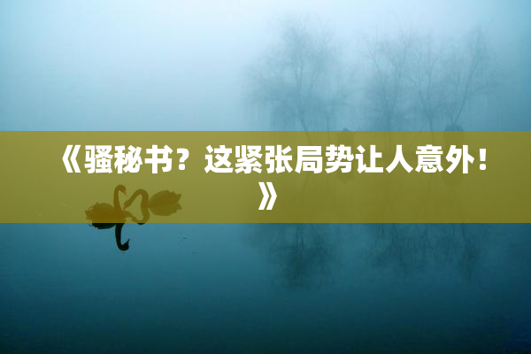 《骚秘书？这紧张局势让人意外！》