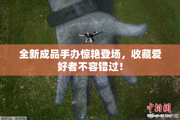 全新成品手办惊艳登场，收藏爱好者不容错过！