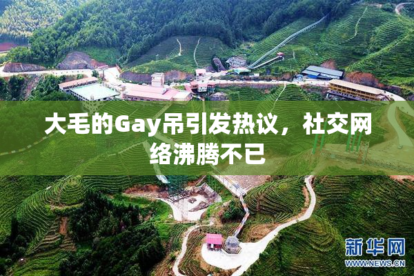 大毛的Gay吊引发热议，社交网络沸腾不已