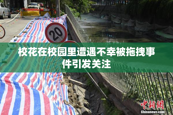 校花在校园里遭遇不幸被拖拽事件引发关注