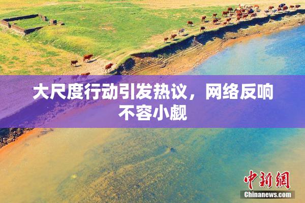 大尺度行动引发热议，网络反响不容小觑