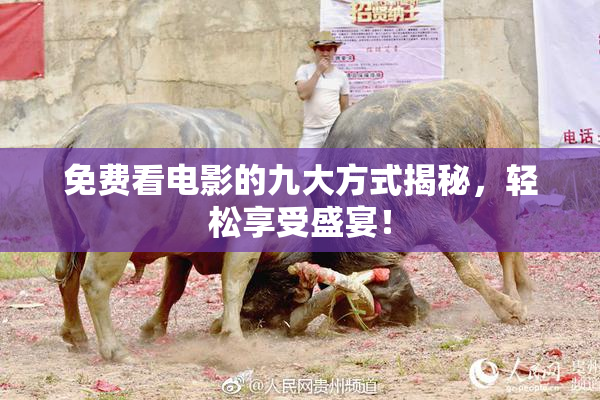免费看电影的九大方式揭秘，轻松享受盛宴！