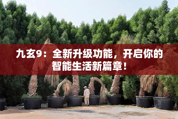 九玄9：全新升级功能，开启你的智能生活新篇章！