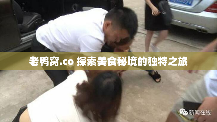 老鸭窝.co 探索美食秘境的独特之旅