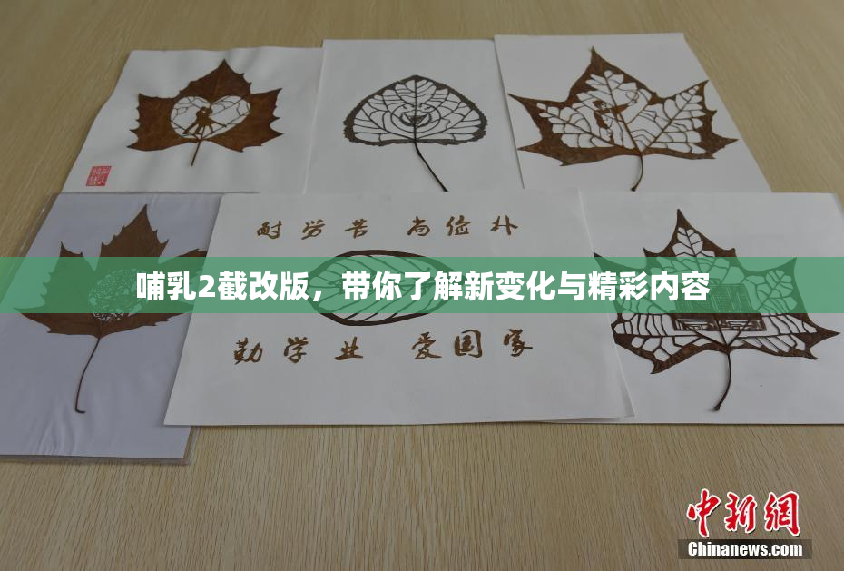 哺乳2截改版，带你了解新变化与精彩内容