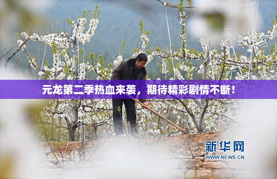 元龙第二季热血来袭，期待精彩剧情不断！