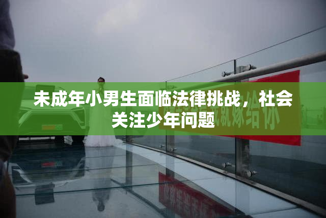 未成年小男生面临法律挑战，社会关注少年问题