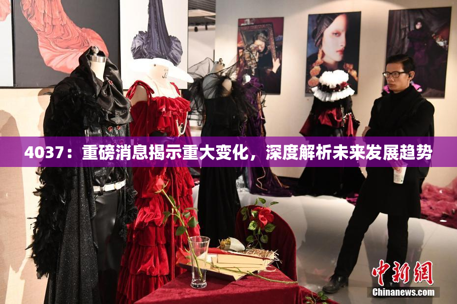 4037：重磅消息揭示重大变化，深度解析未来发展趋势