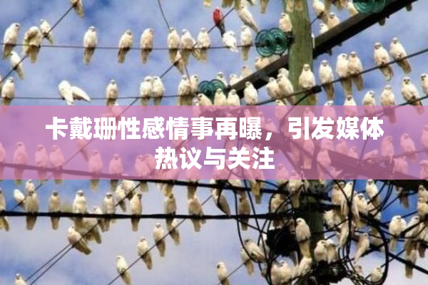 卡戴珊性感情事再曝，引发媒体热议与关注