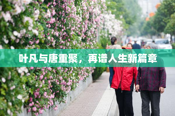 叶凡与唐重聚，再谱人生新篇章