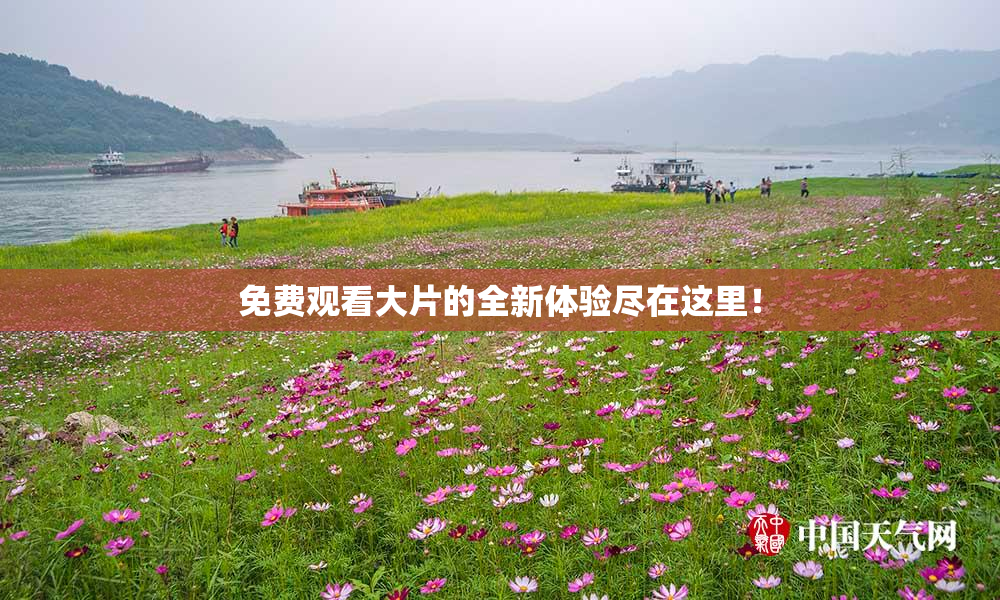 免费观看大片的全新体验尽在这里！