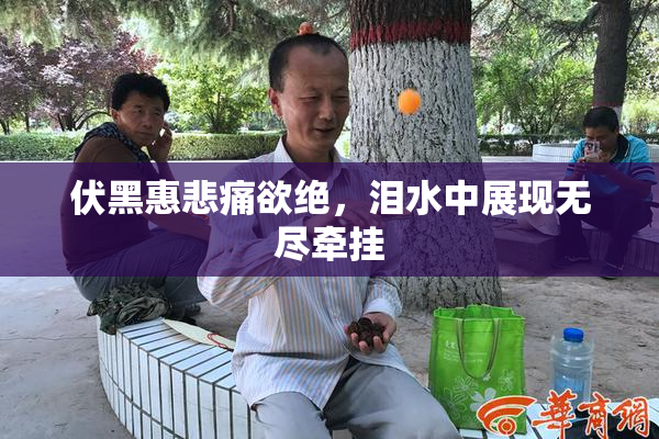 伏黑惠悲痛欲绝，泪水中展现无尽牵挂