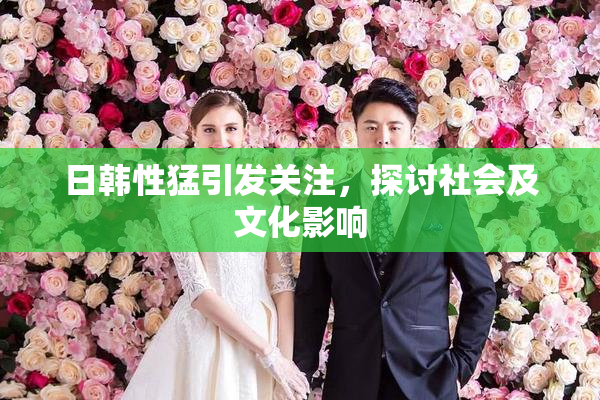 日韩性猛引发关注，探讨社会及文化影响