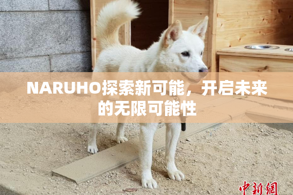 NARUHO探索新可能，开启未来的无限可能性