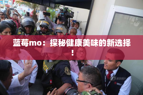 蓝莓mo：探秘健康美味的新选择！