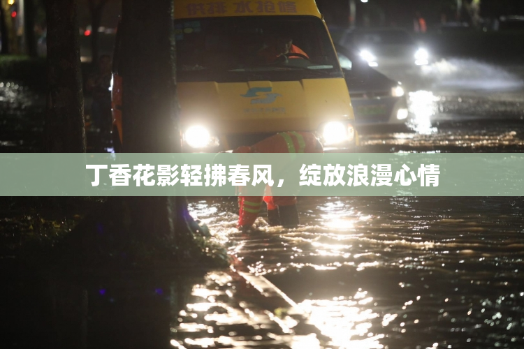 丁香花影轻拂春风，绽放浪漫心情