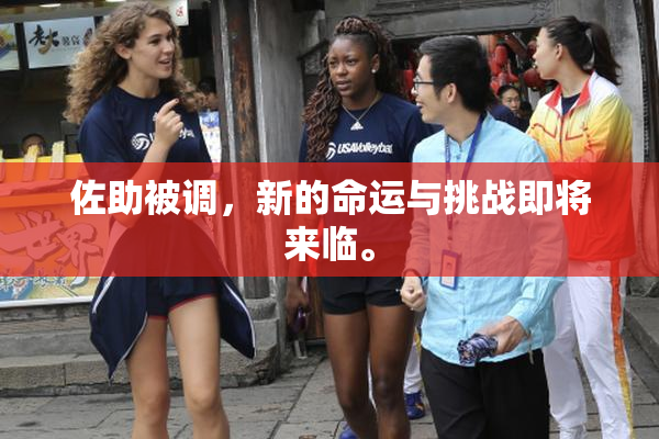 佐助被调，新的命运与挑战即将来临。