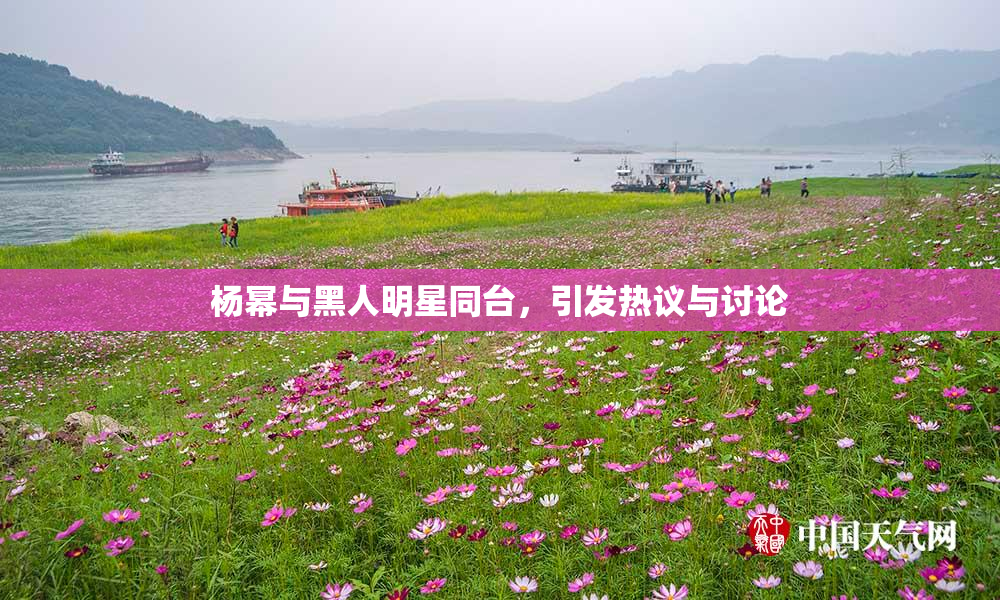 杨幂与黑人明星同台，引发热议与讨论