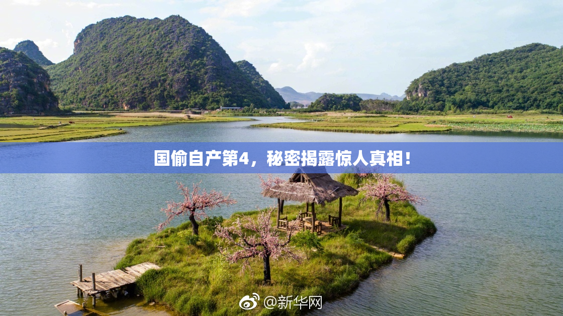 国偷自产第4，秘密揭露惊人真相！
