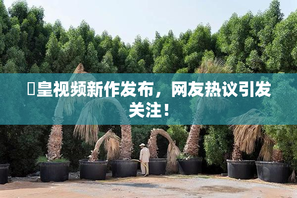 嘼皇视频新作发布，网友热议引发关注！