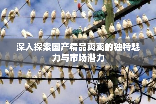 深入探索国产精品爽爽的独特魅力与市场潜力