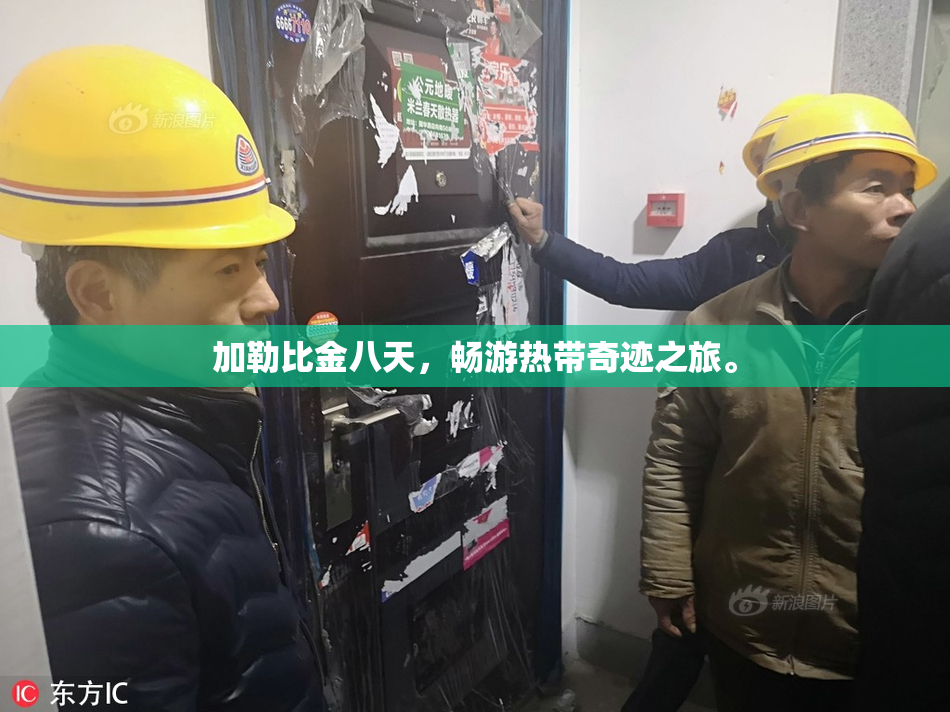 加勒比金八天，畅游热带奇迹之旅。
