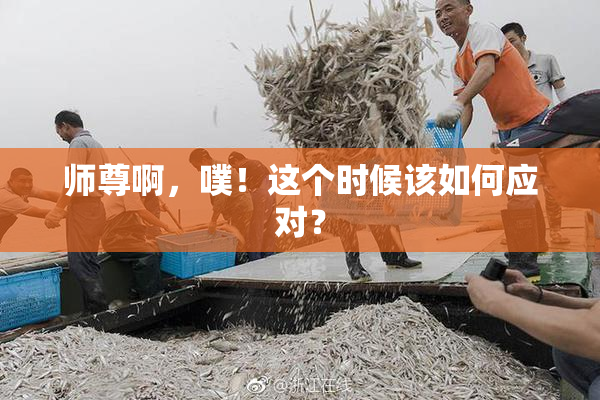 师尊啊，噗！这个时候该如何应对？
