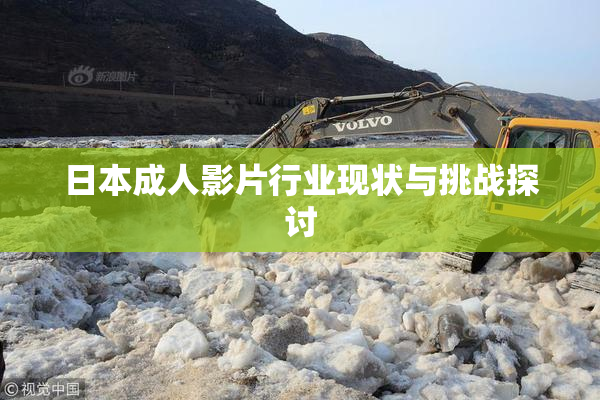 日本成人影片行业现状与挑战探讨