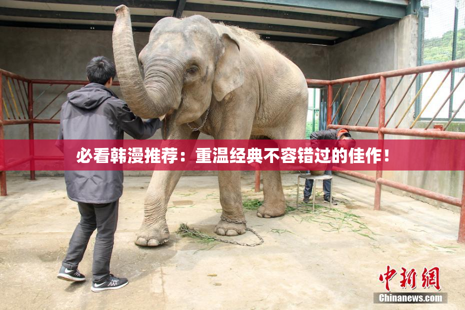 必看韩漫推荐：重温经典不容错过的佳作！