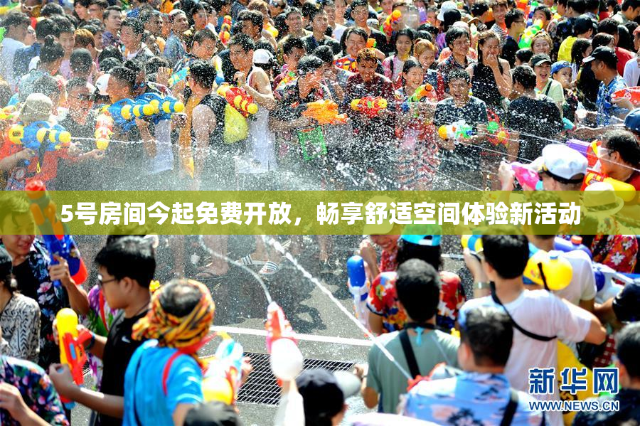 5号房间今起免费开放，畅享舒适空间体验新活动