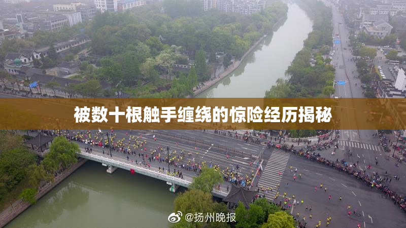 被数十根触手缠绕的惊险经历揭秘