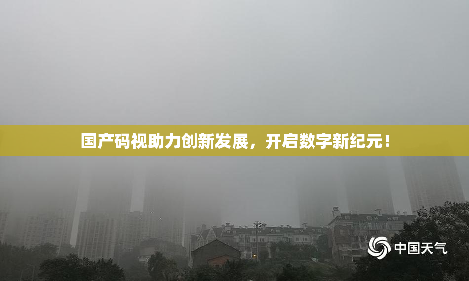 国产码视助力创新发展，开启数字新纪元！
