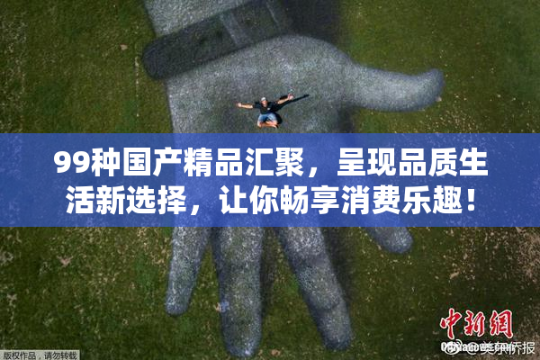99种国产精品汇聚，呈现品质生活新选择，让你畅享消费乐趣！