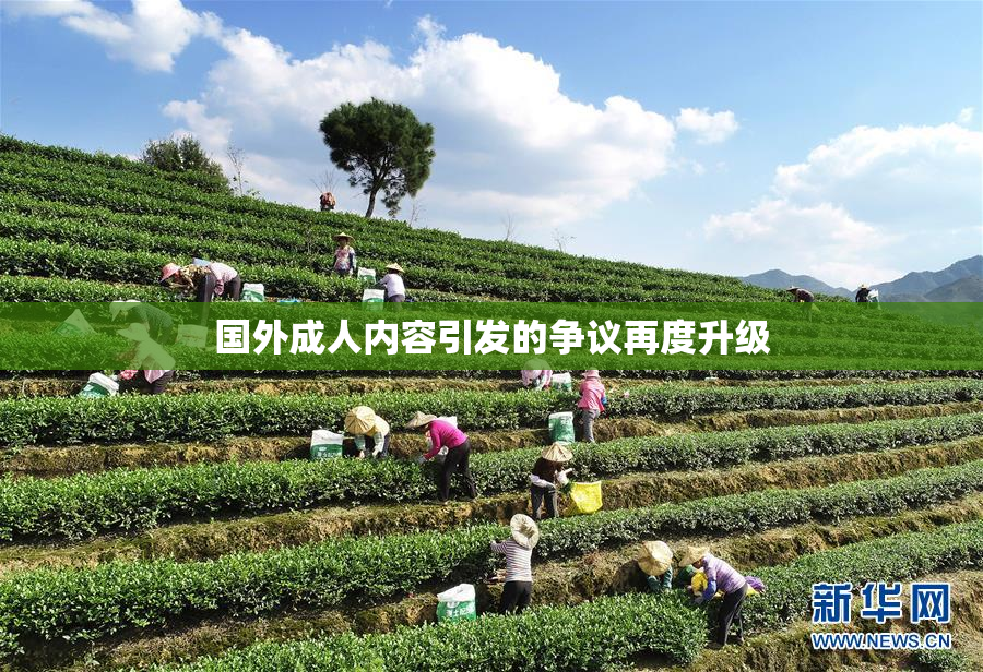 国外成人内容引发的争议再度升级