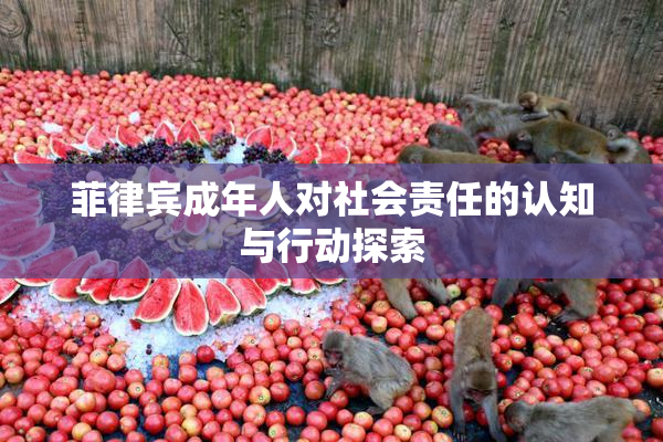 菲律宾成年人对社会责任的认知与行动探索
