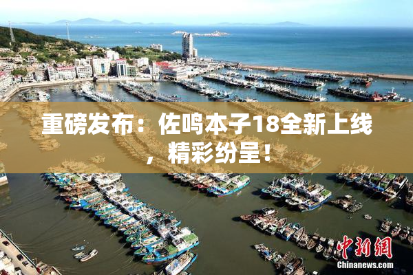 重磅发布：佐鸣本子18全新上线，精彩纷呈！