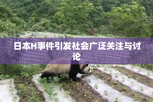 日本H事件引发社会广泛关注与讨论