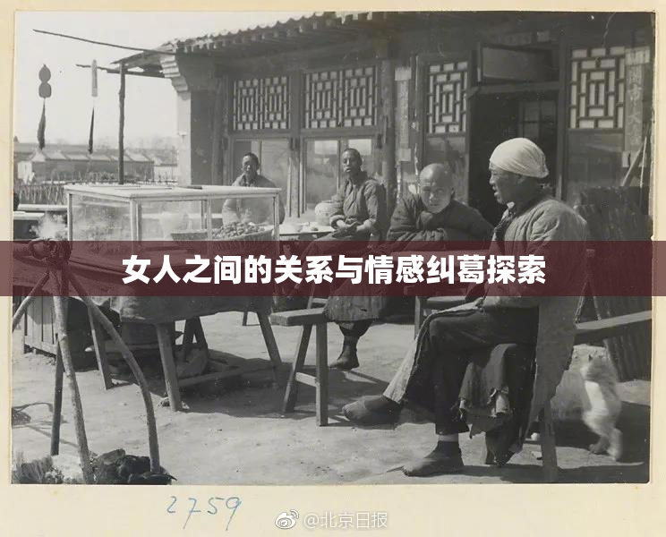 女人之间的关系与情感纠葛探索