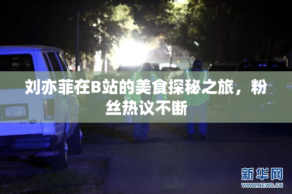 刘亦菲在B站的美食探秘之旅，粉丝热议不断
