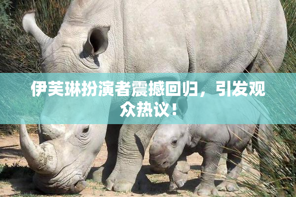 伊芙琳扮演者震撼回归，引发观众热议！