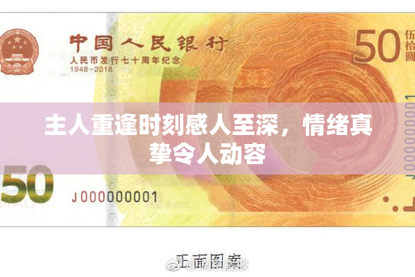 主人重逢时刻感人至深，情绪真挚令人动容