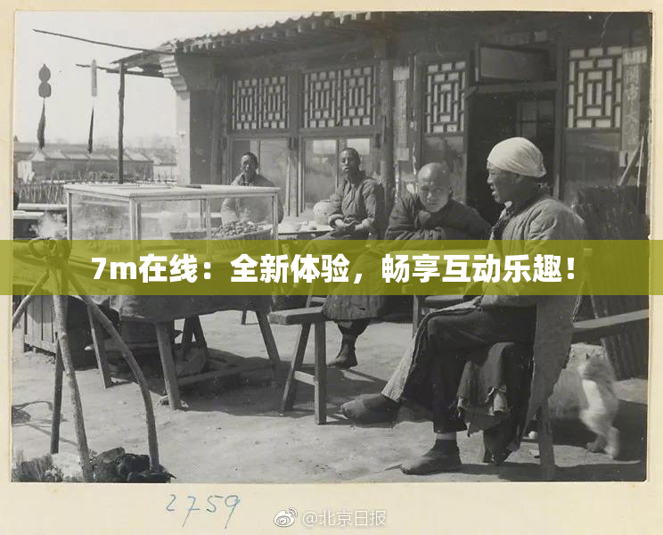 7m在线：全新体验，畅享互动乐趣！