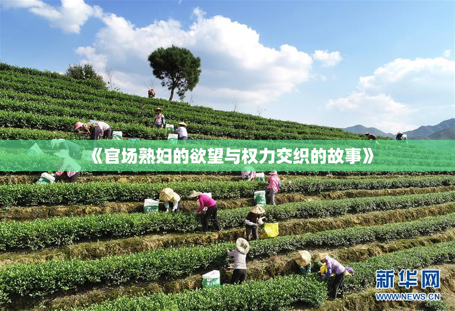 《官场熟妇的欲望与权力交织的故事》