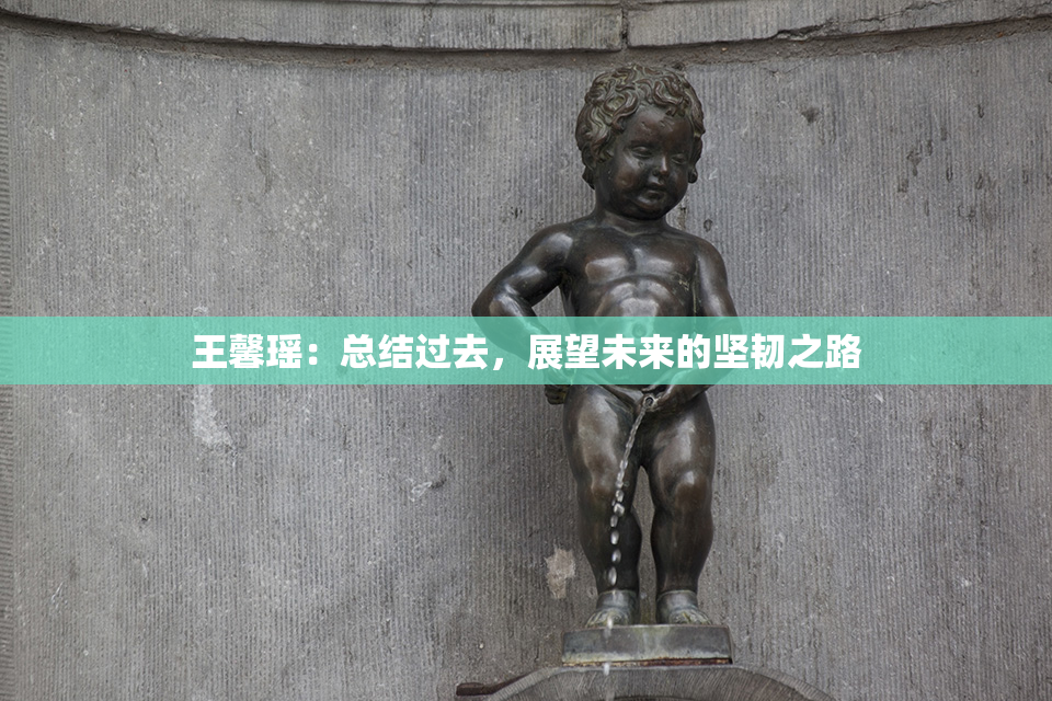 王馨瑶：总结过去，展望未来的坚韧之路