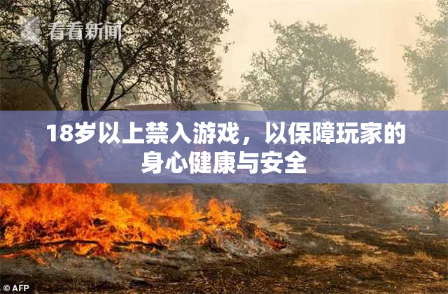 18岁以上禁入游戏，以保障玩家的身心健康与安全