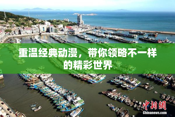 重温经典动漫，带你领略不一样的精彩世界