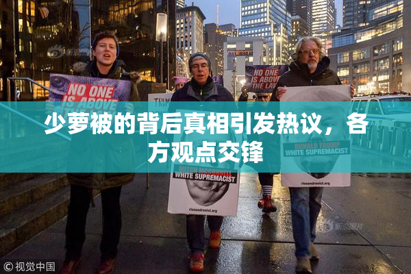 少萝被的背后真相引发热议，各方观点交锋