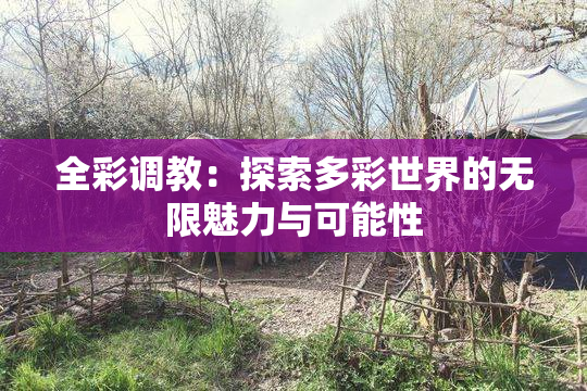 全彩调教：探索多彩世界的无限魅力与可能性