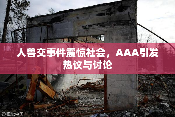人兽交事件震惊社会，AAA引发热议与讨论