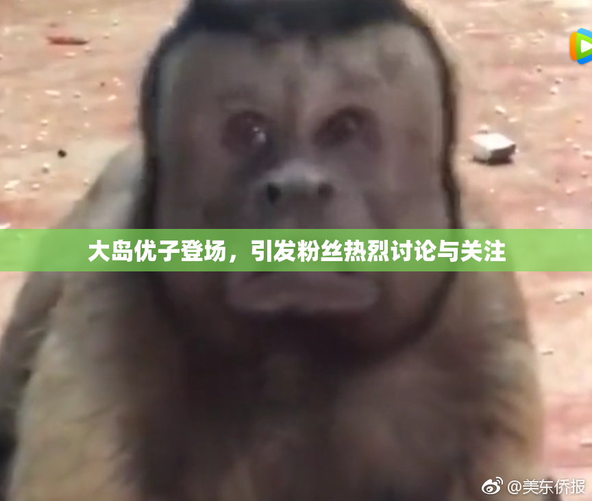 大岛优子登场，引发粉丝热烈讨论与关注